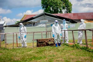 UNICEF alerta de que casi tres millones de menores están en riesgo por el ébola en la RDC