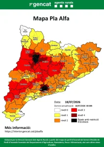 23 municipios de Barcelona, Tarragona y Lleida, en peligro extremo de incendio con el Plan Alfa 4 activo