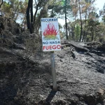 Agricultores y ganaderos madrileños cifran en 18.500 las hectáreas útiles quemadas tras incendios