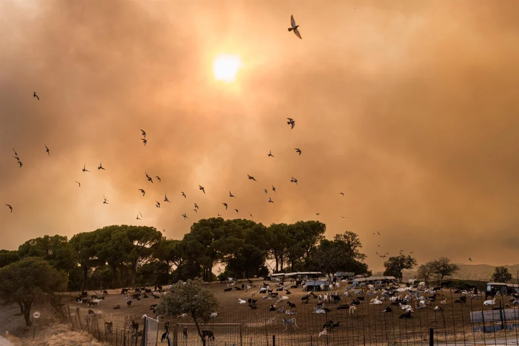 Ayuso: Madrid afronta el peor incendio de su historia y la prioridad es salvar vidas