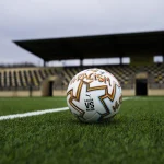 El 64,3% de los españoles ve los insultos racistas como la mayor discriminación en el deporte