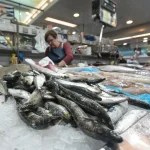 Las pescaderías piden aplazar VeriFactu para evitar cargas desproporcionadas a pymes