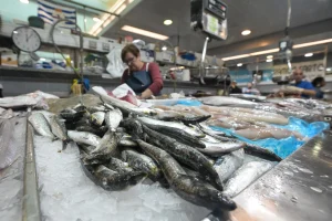 Las pescaderías piden aplazar VeriFactu para evitar cargas desproporcionadas a pymes