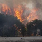 Unión de Uniones cree pronto valorar daños por los incendios, pero avanza grandes pérdidas
