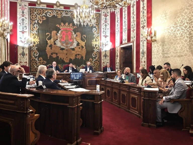 Vox se abstiene en la reprobación a Barcala por las VPP, pero cree que debería irse