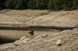 AllianzGI prevé un impacto moderado de la sequía y el calor récord en la economía europea
