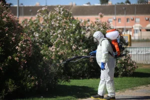 Andalucía registra 16 casos de fiebre del Nilo Occidental en 2026, la mayoría leves en Sevilla