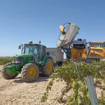 Asaja constata una merma de cosecha en el inicio de la vendimia en Ciudad Real