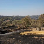 Castilla y León reparte 1,8 millones a 339 agricultores afectados por los incendios de 2026