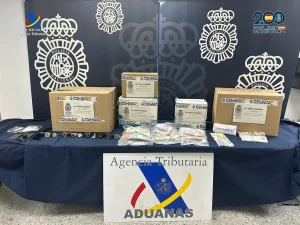 Detenidas 13 personas al desarticular una organización de fraude del IVA y blanqueo de capitales