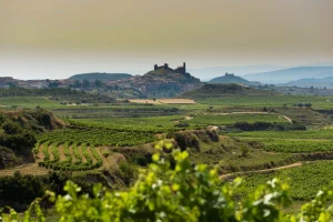 Malpastor y Las Pisadas (Família Torres) brillan en el Rioja Report 2026 de Decanter