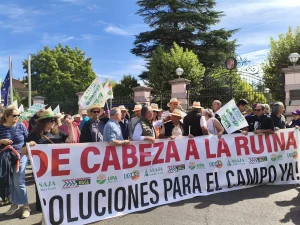 Más de 500 agricultores exigen ayudas a CyL tras una mala cosecha que amenaza la sementera
