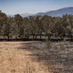 Castilla y León ordena pagar 1,8 millones a 339 afectados por los incendios en cuatro provincias