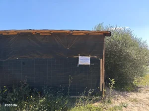 La Policía Local de Sant Josep desmantela un asentamiento irregular en Port des Torrent, Ibiza
