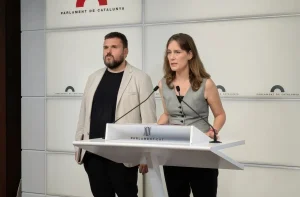 Los Comuns piden endurecer las penas por tenencia de armas blancas y de fuego sin licencia