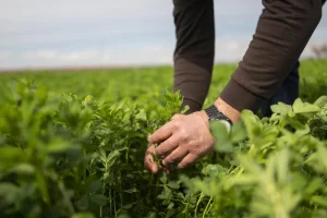 Más de 249.000 agricultores percibirán ayudas de 494,5 millones para comprar fertilizantes